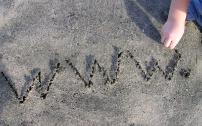 The Internet: Friend, Foe or Both?