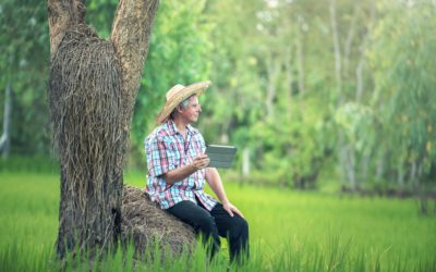 Green Guide for Websites