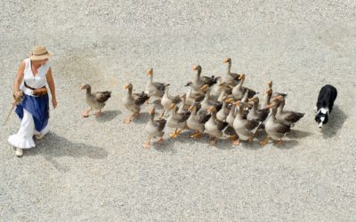 A Shift in Company Culture