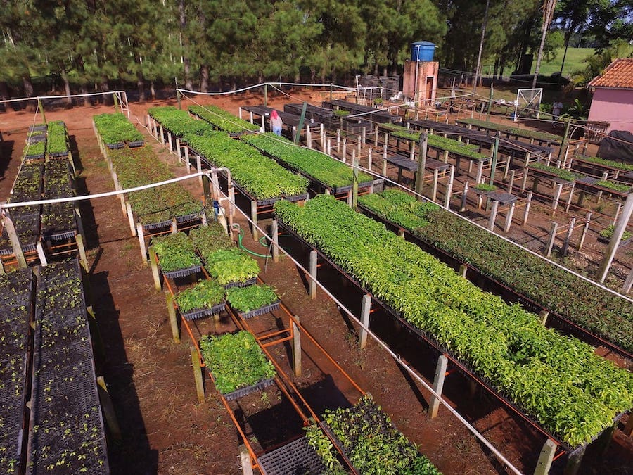 Active Giving Trees Brazil