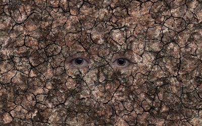 Combating Climate Change