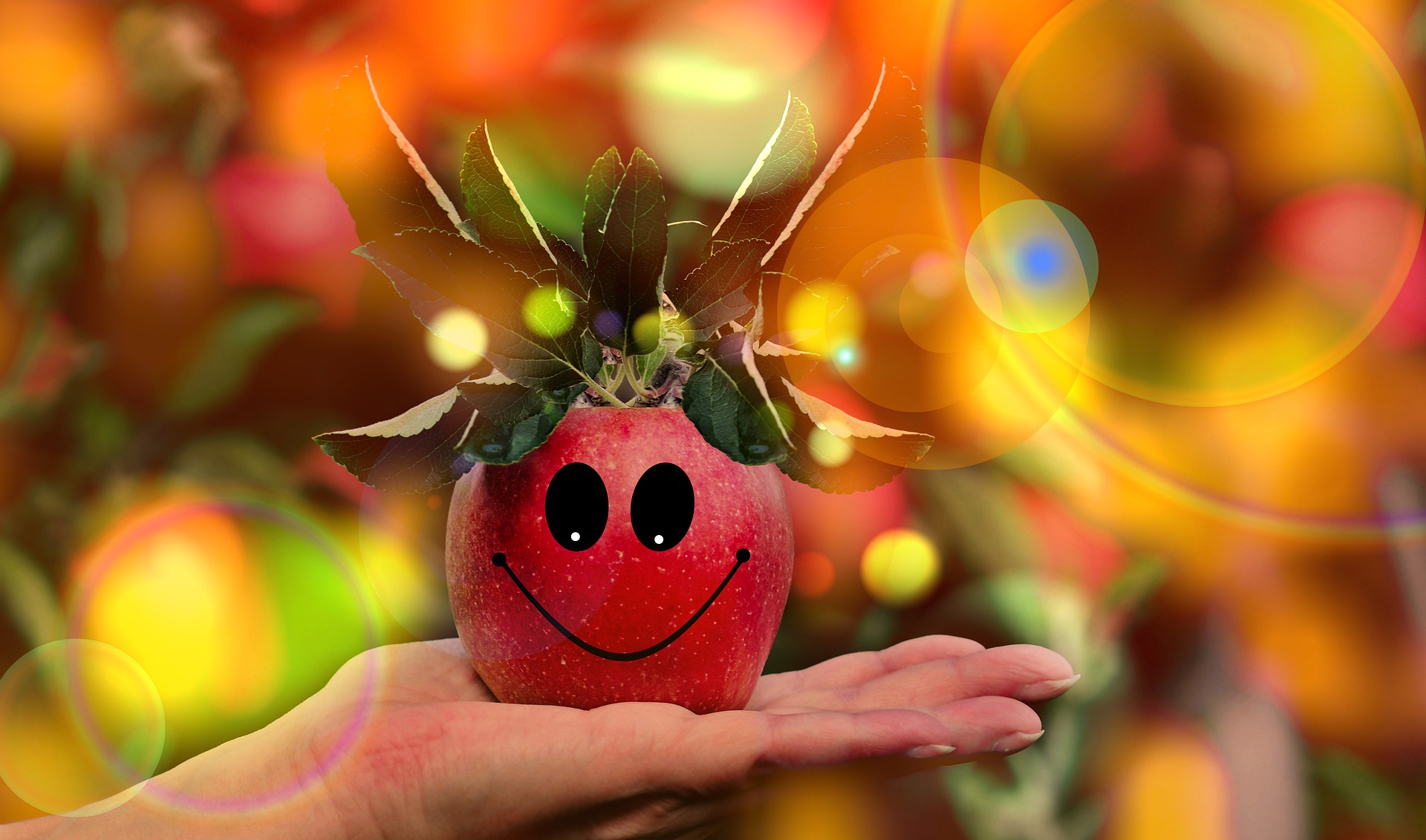 Sustainability everywhere Collective Force on Sustainability